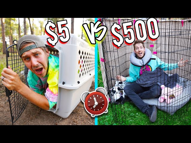 OVERNIGHT SURVIVAL CHALLENGE *PET STORE ITEMS ONLY*