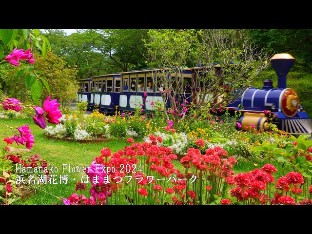 【Hamanako Flower Expo 2024】Lovely garden tour! Hamamatsu Flower Park!