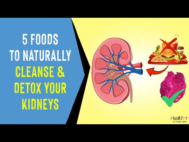 5 Foods To Naturally Cleanse & Detox Your Kidneys