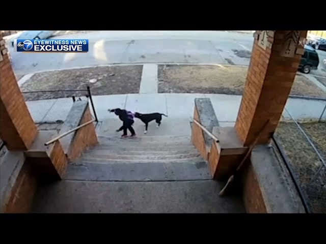 Teen with broom saves children from dog attack in Englewood