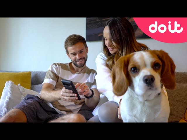 DoiT and Pet Circle: Revolutionizing the pet supplies sector through technology