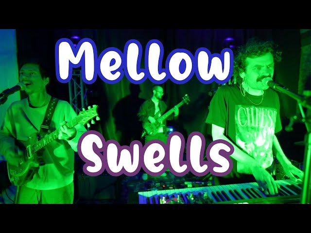 Mellow Swells LIVE at PS37 Durham NC