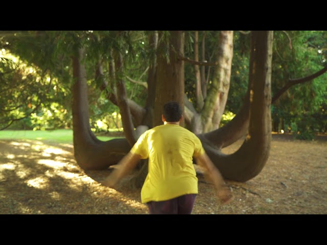 Return to the Joy: Parkour in Nature