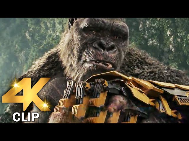 Kong Gets Beast Glove Scene | GODZILLA X KONG THE NEW EMPIRE (2024) Movie CLIP 4K