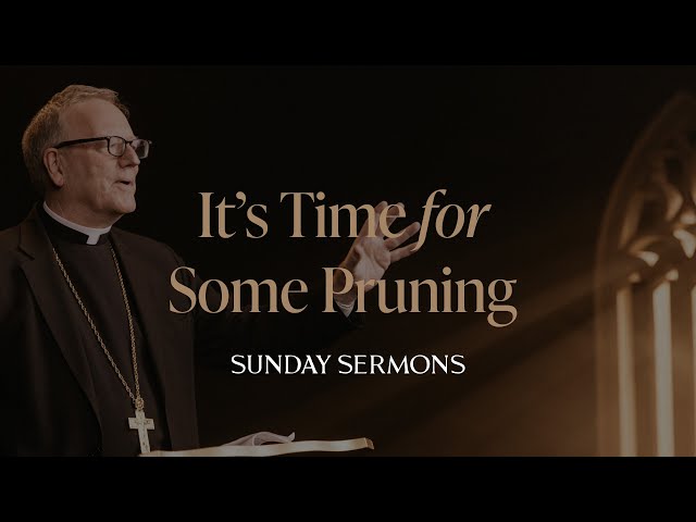 It’s Time for Some Pruning - Bishop Barron's Sunday Sermon