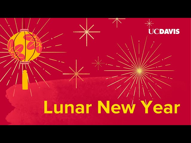 Happy Lunar New Year 2024