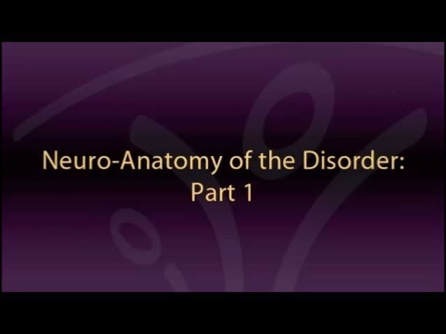 The Neuroanatomy of ADHD and thus how to treat ADHD - CADDAC - Dr Russel Barkley part 1ALL