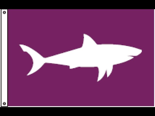 Shark Safety Video