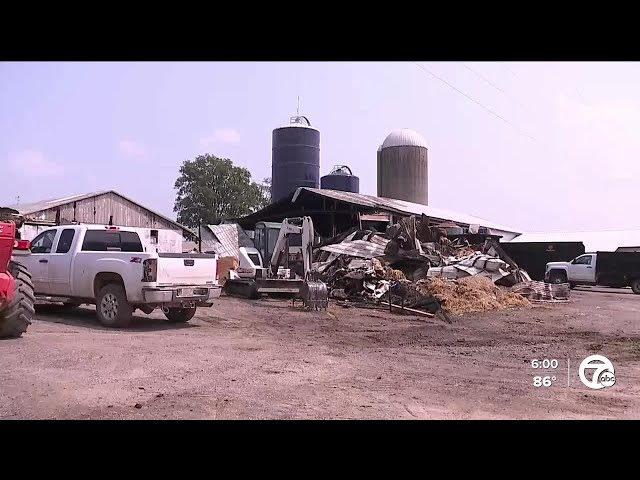 Farm owned by Dee Warner's family burns amid battle to declare her legally dead