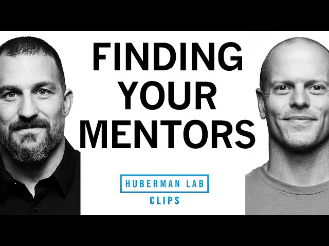 How to Find Mentors | Tim Ferriss & Dr. Andrew Huberman