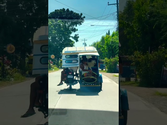 Even dogs RIDE tricycles in the Philippines 🤯🇵🇭 #shorts