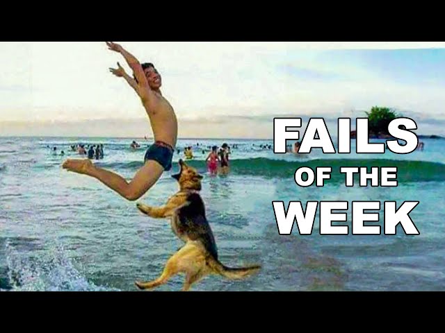 *1 HOUR* Impossible Try Not to Laugh Challenge #2 😂 Best Fails of the Week | Funny Videos 2023