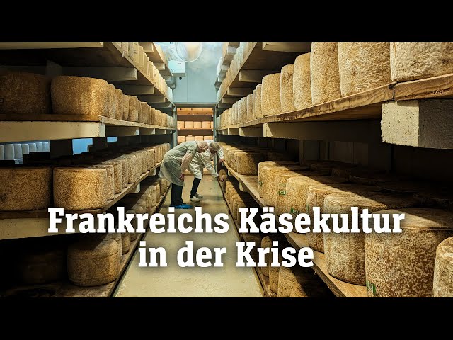 Brie, Salers und Camembert: Frankreichs Käsekultur in Gefahr | SPIEGEL TV für ARTE Re: