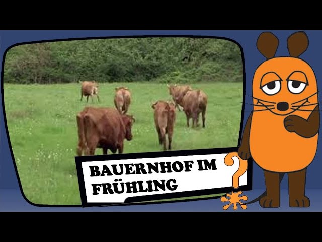 Bauernhof-Frühling