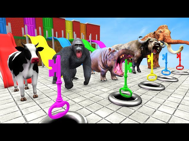 Mystery Key Door With Gorilla Cow Mammoth Elephant Escape Room Challenge Choose Right Slider Cage