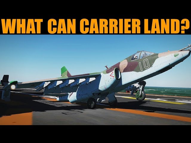 Questioned: Which Non-Naval Planes Can Land On Aircraft Carriers? | DCS WORLD