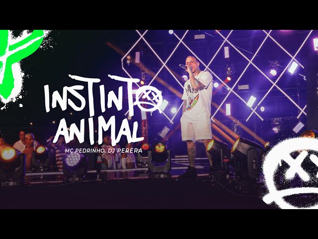 MC Pedrinho - Instinto Animal (GR6 Explode) DJ 10 Anos