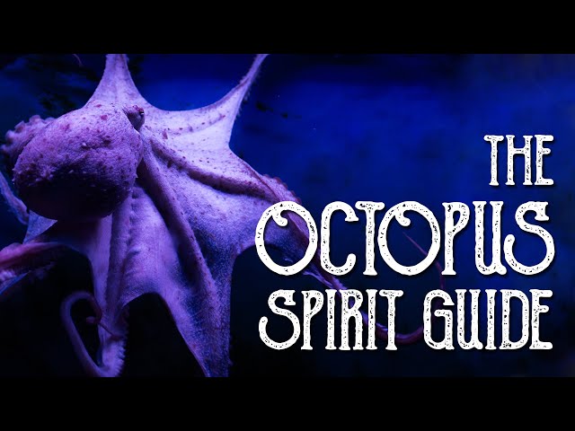Octopus Spirit Guide - Ask the Spirit Guides Oracle - Totem Animal, Power Animal - Magical Crafting