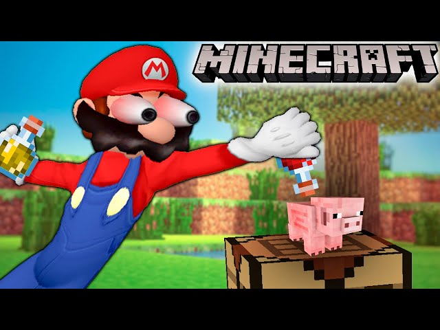 Mario experiments in Minecraft #1