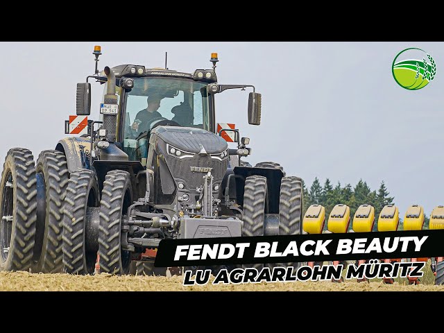 FENDT 942 & FENDT 724 Black Beauty tractors with Väderstad Tempo | Rape seeding