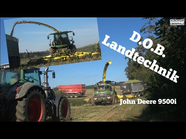 Hirsch tobt im Mais | XL-Maisernte mit John Deere 9500 i | DOB Landtechnik | KÖHL Harvest
