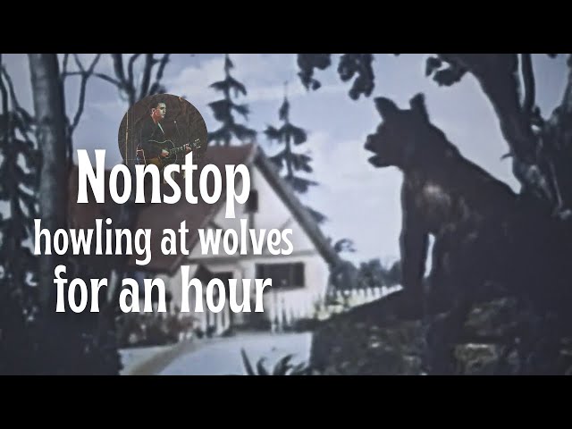 Stephen Sanchez - Howling at Wolves | 1-Hour Nonstop Loop with Lyrics