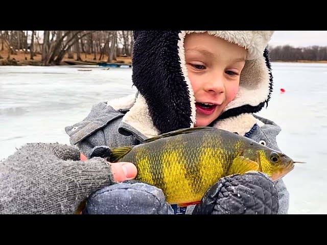 Mississippi River Perch Ice Fishing~{Catch, Clean, Cook}~