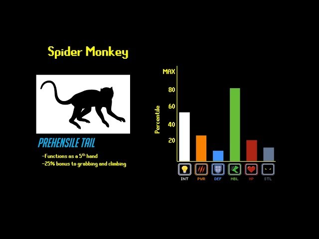 The Primate Tier List