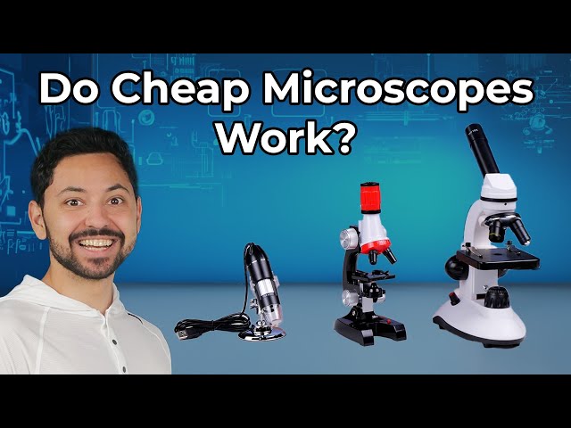 Do Cheap Microscopes Actually Work?