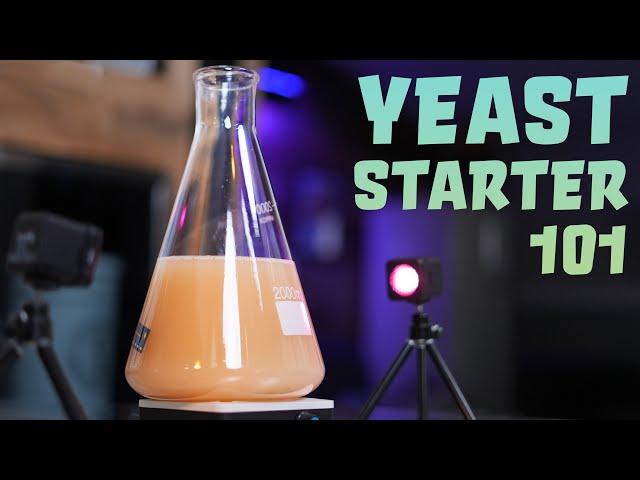 How to Make a Yeast Starter in 10 Steps