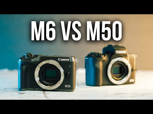Canon M6 vs Canon M50 - Which Camera Is Better in 2021?