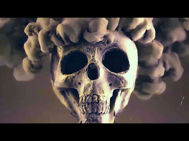 CellarDoor - "Leeches" Filth Records - Official Music Video