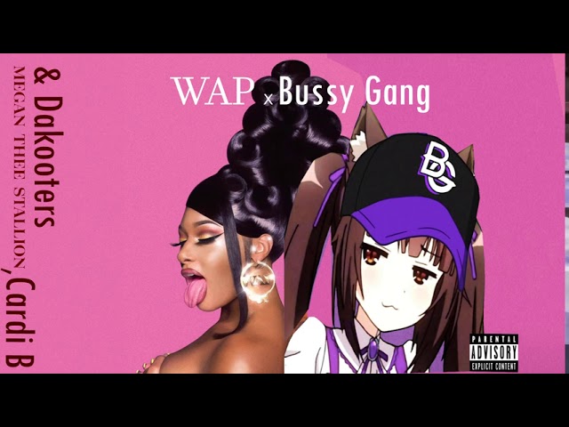 WAP x Bussy Gang (Catnip Mash-up & remix)
