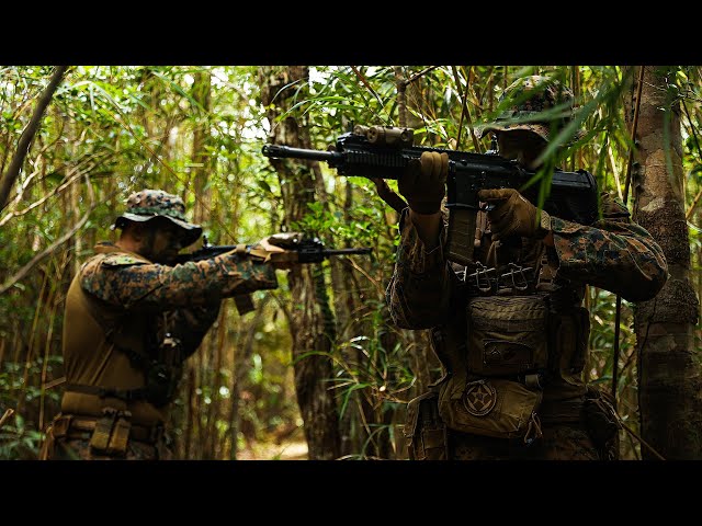 U.S. Marines conduct Jungle Patrol in Japan (July 2023)