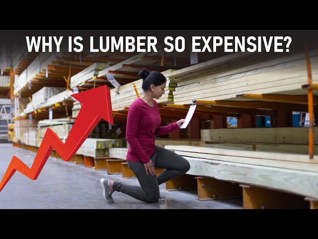 Why is Lumber so expensive? | Supply chain issues explained