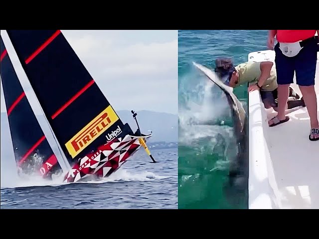 Boat Fails and Wins - Best of The Week | Part 340