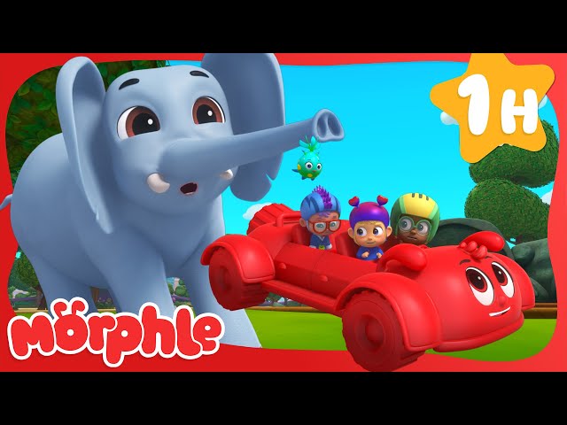 Runaway! There's a Giant Elephant 🐘 | Cartoons for Kids | Mila and Morphle