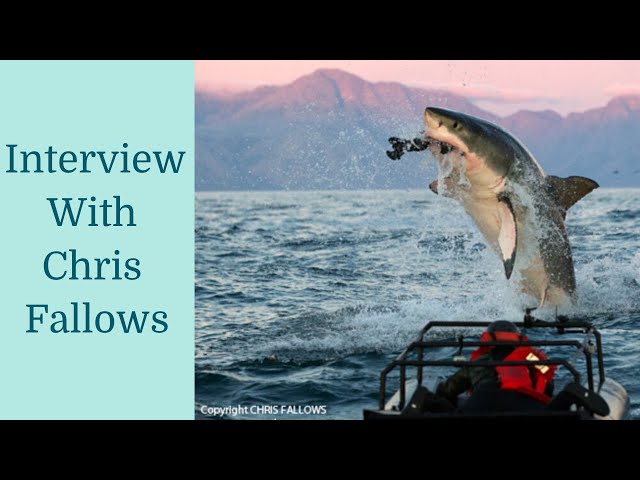 Interview with Chris Fallows!