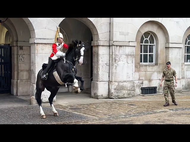 King’s Guard Shows Perfect Horsemanship as Horse Spooked