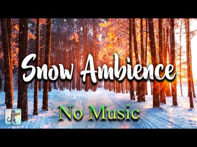 Relaxing Snowfall: COZY Winter Snow Ambience! ❄ Blizzard Storm Sounds & Heavy Snow (NO MUSIC)
