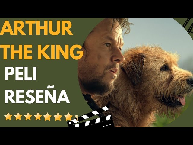 Arthur The King | Reseña | Review | Crítica de Cine | hermosa peli