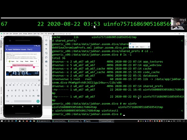 Mobile App Input Payload To Get Data In Phone - Mobile Application Penetration Testing