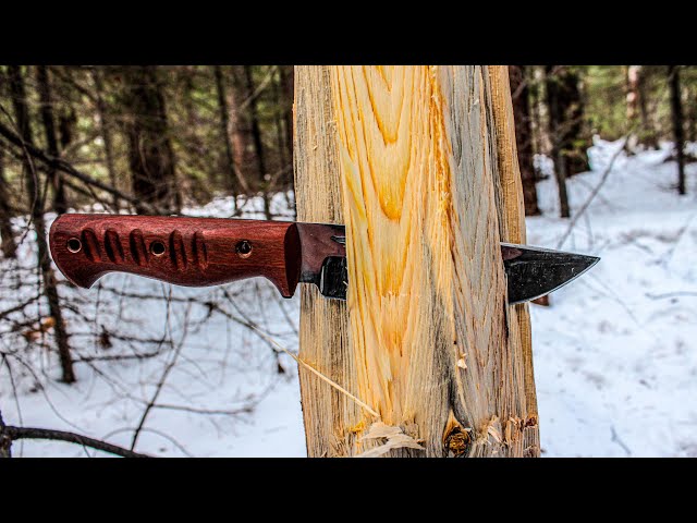 10 Bushcraft Knife Skills + some Basic Survival skills!
