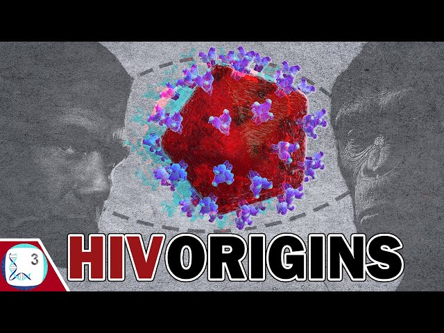 The REAL Origins & Evolution of HIV