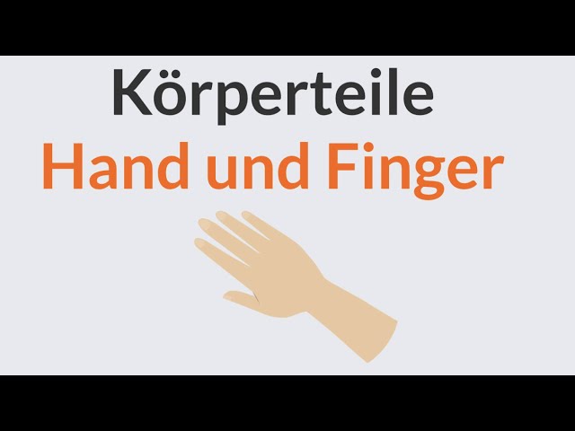 Deutsch lernen | Wortschatz | Hand und Finger | Körperteile | Körper | A1 | A2 Body parts vocabulary