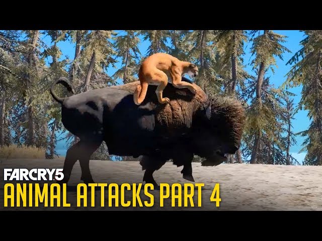 All Animal Attacks on Cougar (Animal Attacks Part 4) Animals VS Cougars - FAR CRY 5