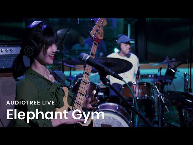 Elephant Gym on Audiotree Live (Full Session)
