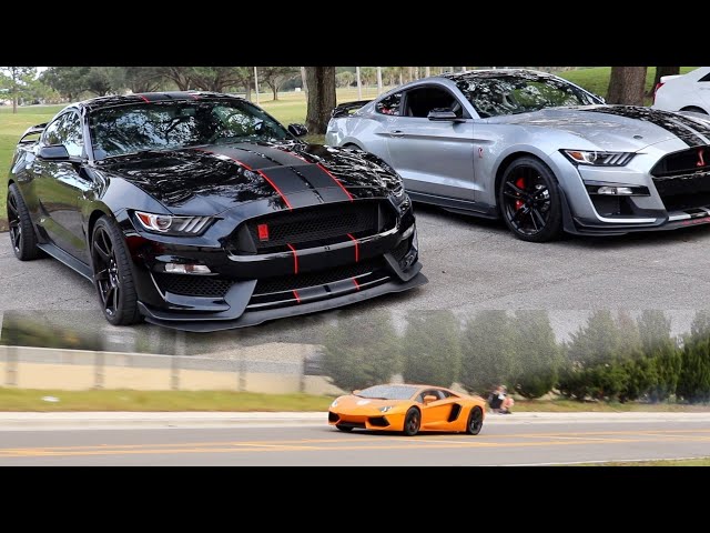 Chasing Supercars in a Shelby GT350R