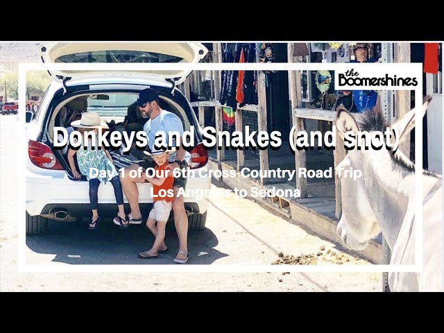 Donkeys and Snakes (and Snot) -- Day 1 of our 6th Cross Country Road Trip -- Los Angeles to Sedona