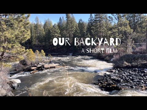 Short Films and Non Rafting Videos